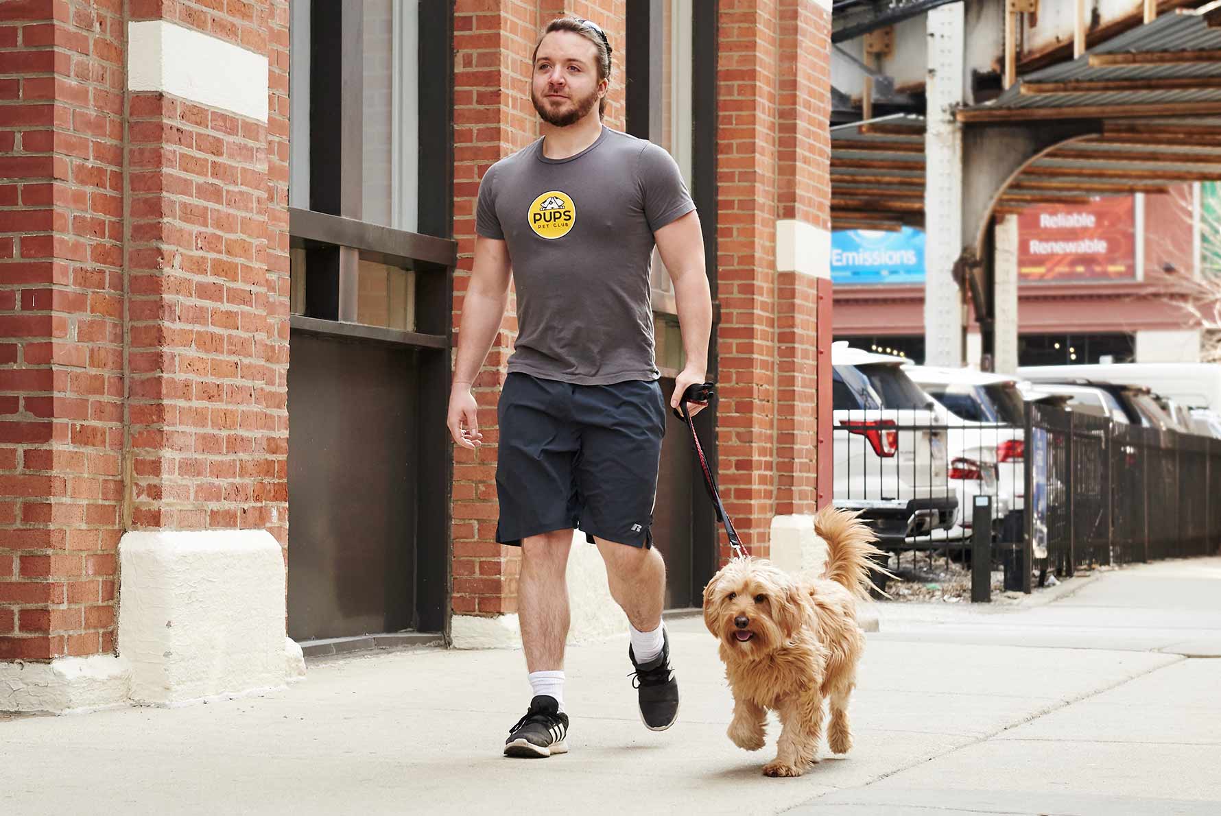 Daycare and Walking Combos
